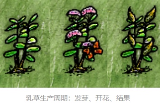 希望之村