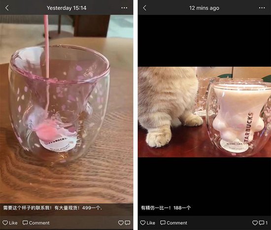 猫爪杯黄牛