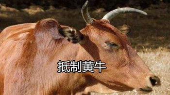 抵制黄牛
