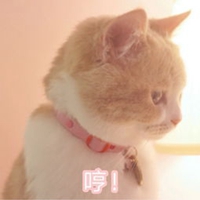哼