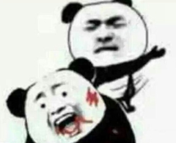 gen8御三家