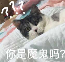 一时爽一直爽