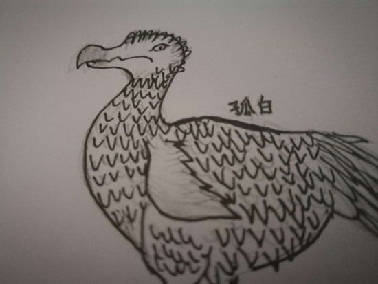 方舟生存进化周边