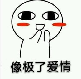 像极了