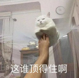 顶不住