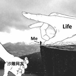 网友