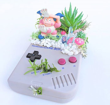 盆栽
