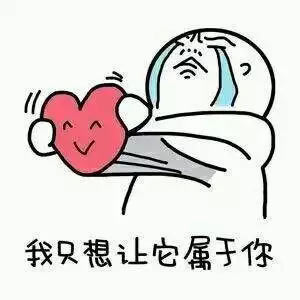 跨越星弧