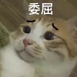 委屈