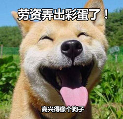 狗子