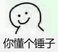你懂个锤子