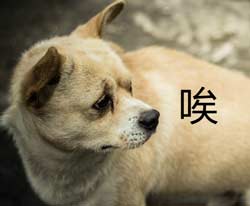 唉