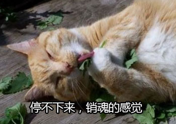 销魂
