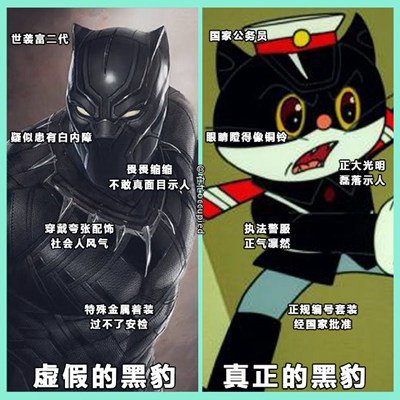 黑豹