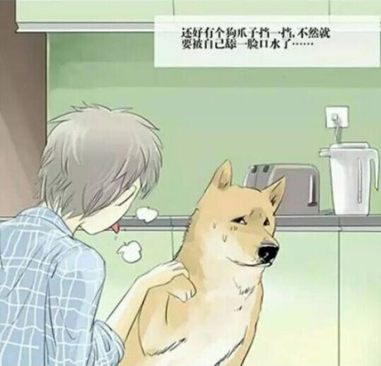 AI伙伴
