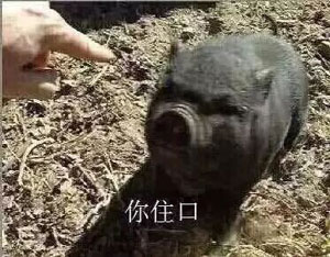 表情包