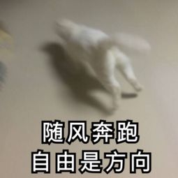 奔跑