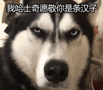 敬你是条汉子