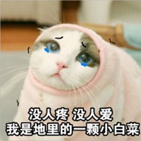 单身