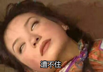 遭不住