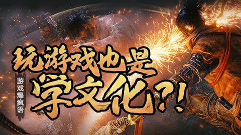 游戏爆疯语：玩游戏也是学文化！