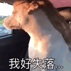 失落