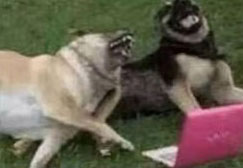 笑