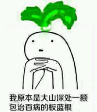 板蓝根