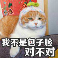 橘猫