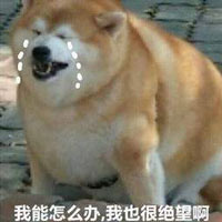 狗