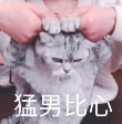 表情包