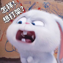 打架