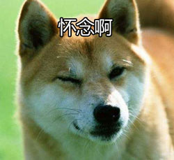 怀念