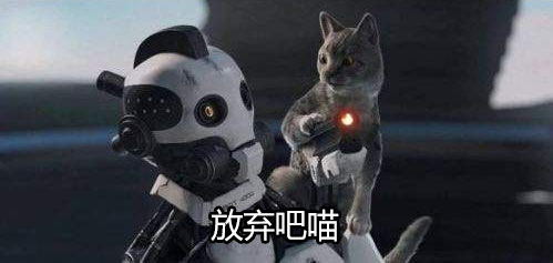 放弃