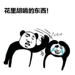 花里胡哨