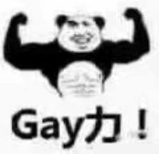 gay