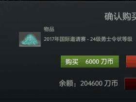 ti9小本子