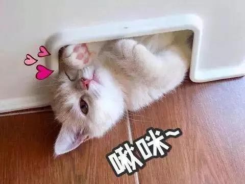 王者荣耀五五开黑节活动