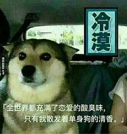 单身狗