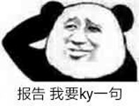 报告