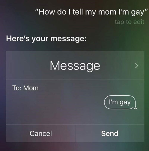 gay