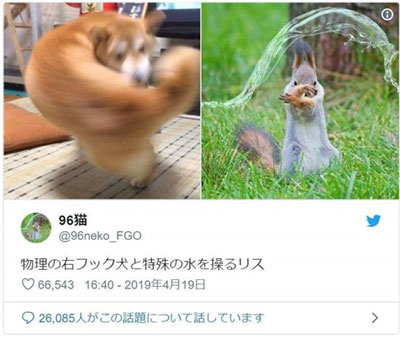 推特截图