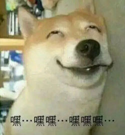 嘿嘿嘿