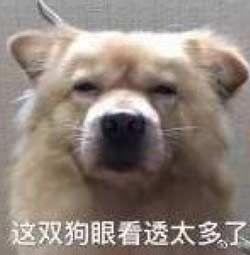 表情