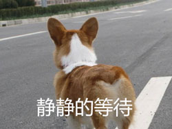 等待