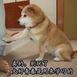 学习