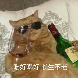 长生不老