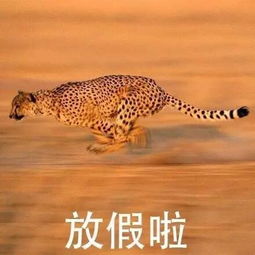 放假