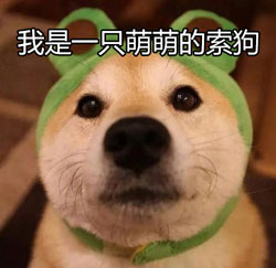 索狗