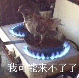 表情包